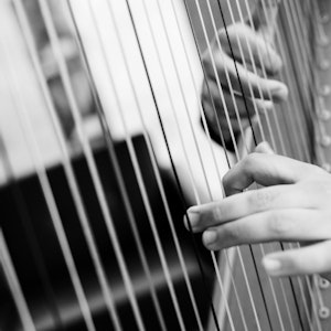 Emmanuel Padilla Holguíns hender på harpen i svart-hvitt