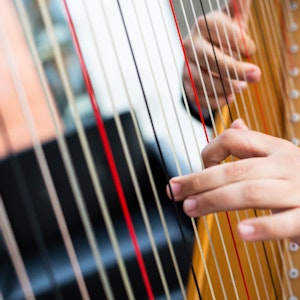 Emmanuel Padilla Holguíns hender på harpen