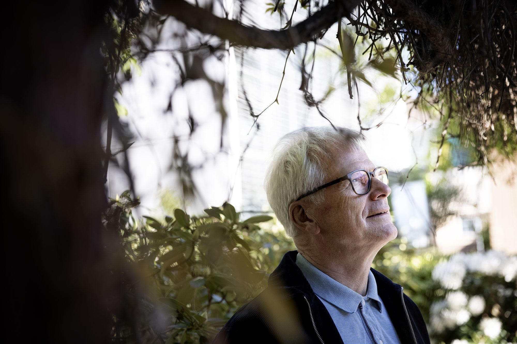 Eirik Birkeland står og ser opp i luften, mellom grønne busker.