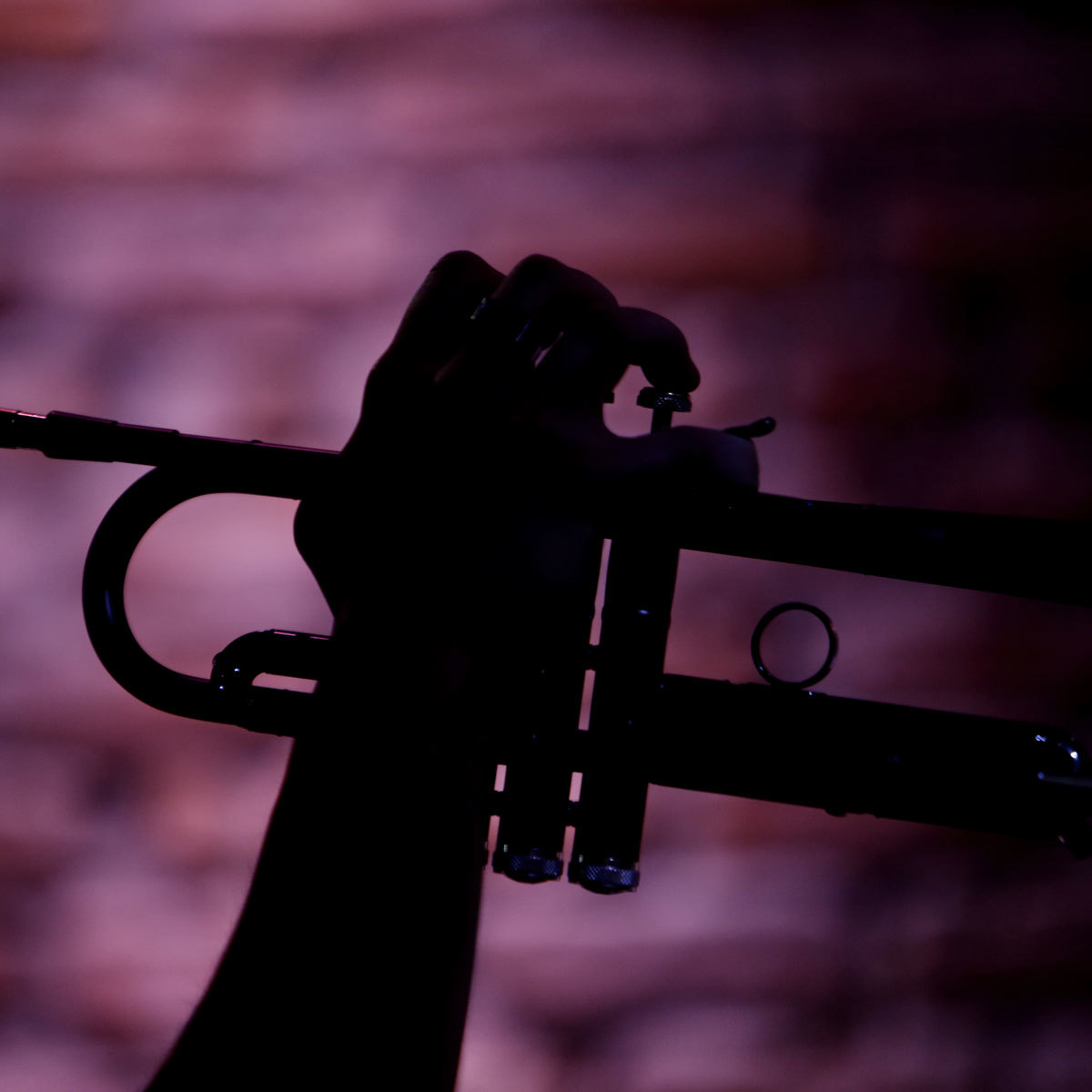 Silhuett av trompet med rosa bakgrunn