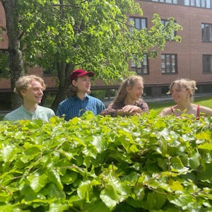 Studenter står bak busker og smiler
