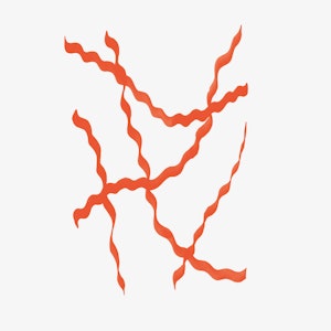 Orange, abstrakt, krøllete illustrasjon med grå bakgrunn.