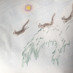 Tegning av ekorn i flukt over et grantre.