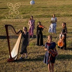 Deltakere på Valdres sommersymfoni poserer med instrumenter i eng