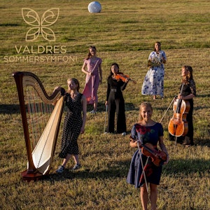 Deltakere på Valdres sommersymfoni poserer med instrumenter i eng