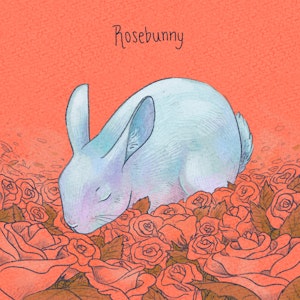Illustrasjon av hvit kanin på orange bakgrunn, med teksten Rosebunny.