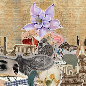 Illustrasjon til bandet Aquilegia: Lilla blomst, et hus, øyne, en and, en sommerfugl og mer.