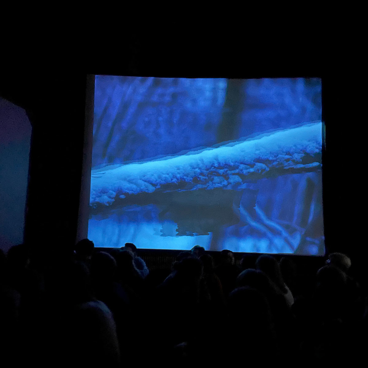 Blå skjerm i mørkt rom.