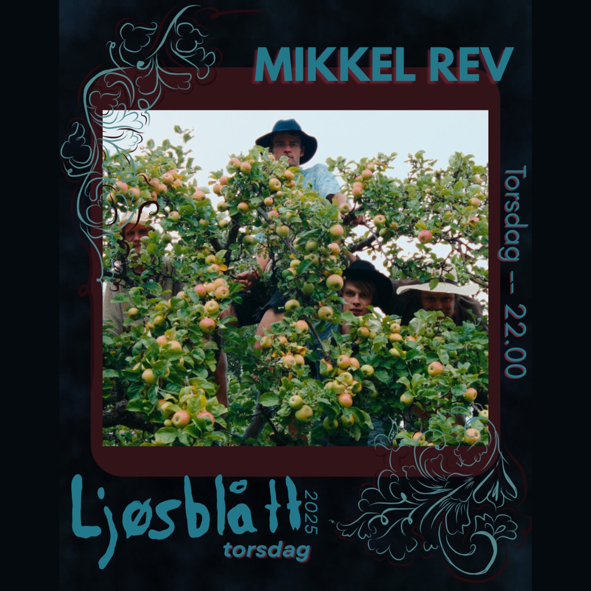 Bandet Mikkel Rev oppe i et epletre, med Ljøsblått-grafikk.