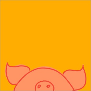 Illustrasjon av gris som titter opp nederst på bildet, over gul bakgrunn.