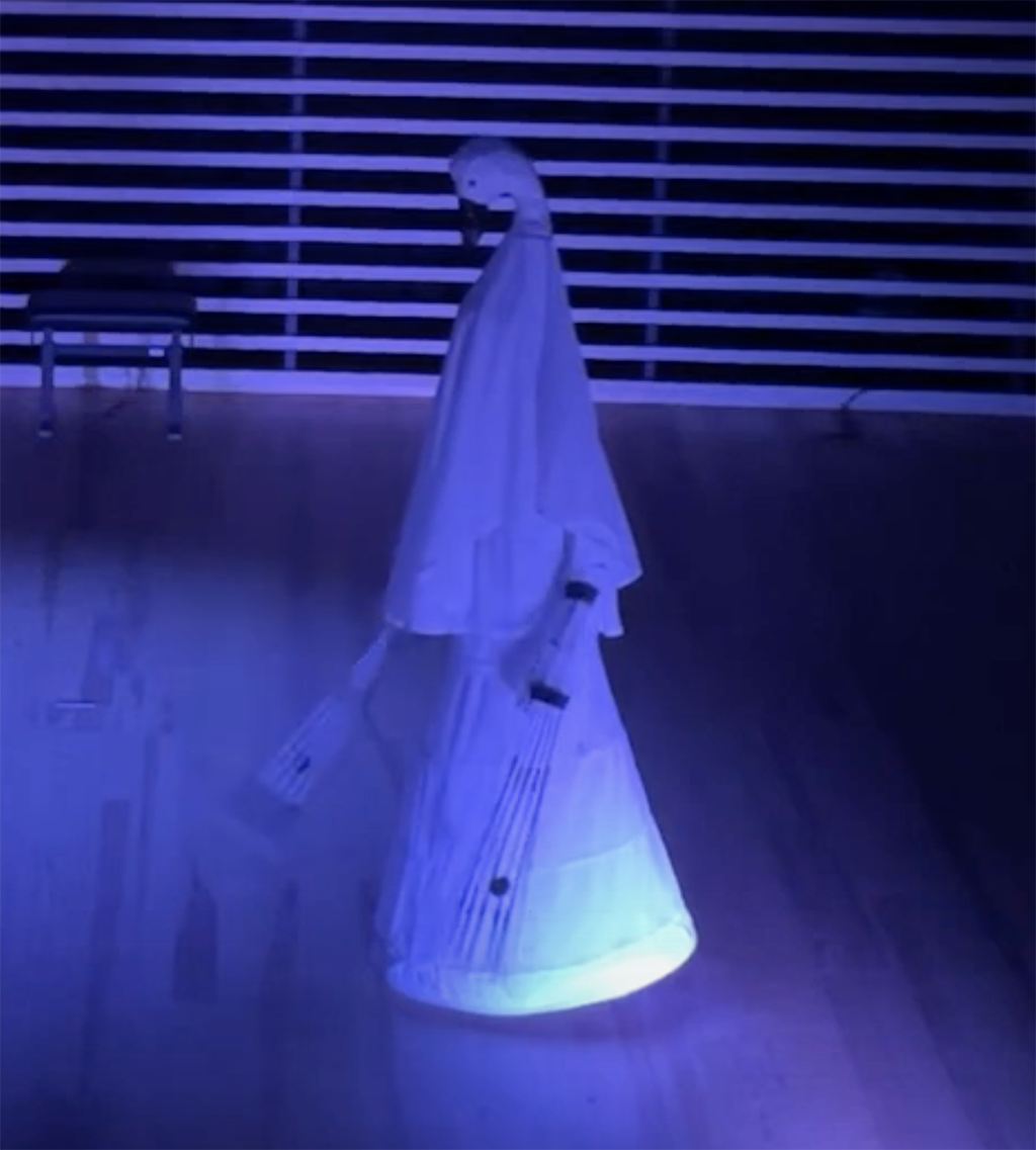 Simon dressed as a swan is standing on a small stage.